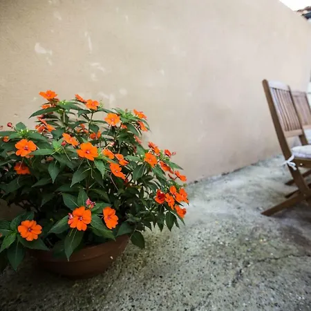 Сasa de vacaciones 
